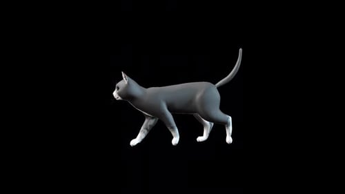 Schwarze Katze läuft untätig