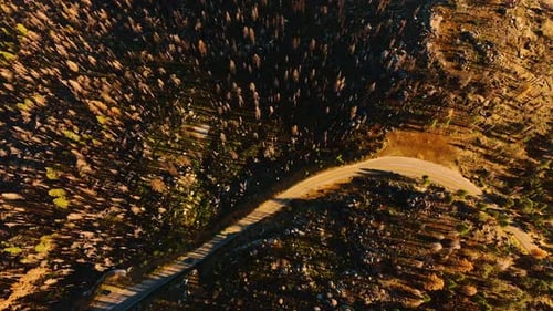 Car rides by the road going through the rocky territory overgrown with pine trees.