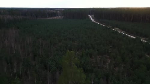 Aerial View of a Forest with a Road Cutting Through the Natural Landscape