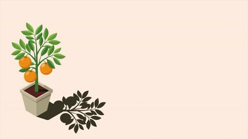 Isometric potted plant animation. Indoor plant. Green plant in pot. 3d potted plant for home