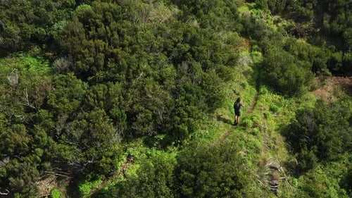 Young and fit hiker walks alone with walking sticks and shorts on a trail between beautiful, lush an