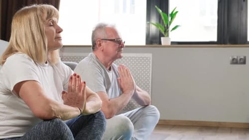 Senior Couple Meditating Peacefully Together Indoors