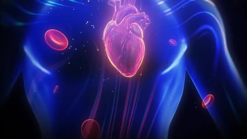 Heart – FHD Background