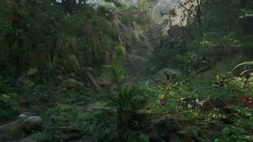 A Lush Green Forest Filled with Lots of Trees Mountain Path