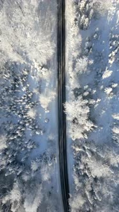 Scenic Road Through a Snowy Winter Mountain Forest