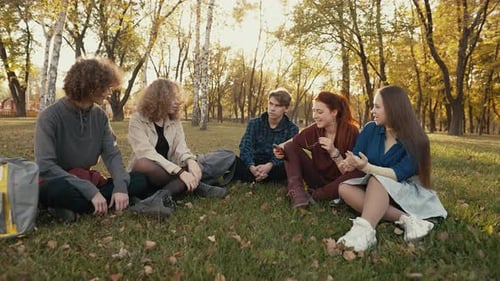 Friends Sitting on the Grass in the Park