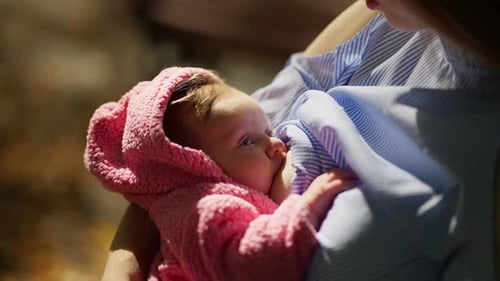 La madre alimenta al niño con leche materna