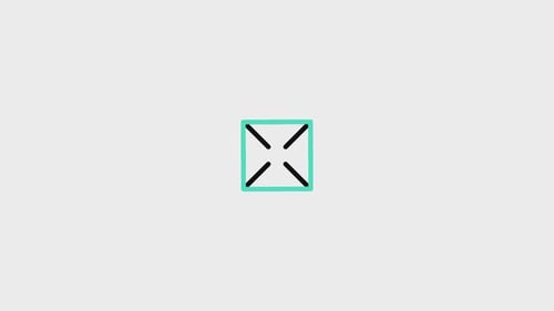 Zoom Animated Icon