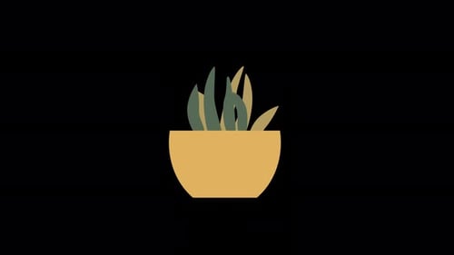 Flat Design Growing Plant Pot Animation