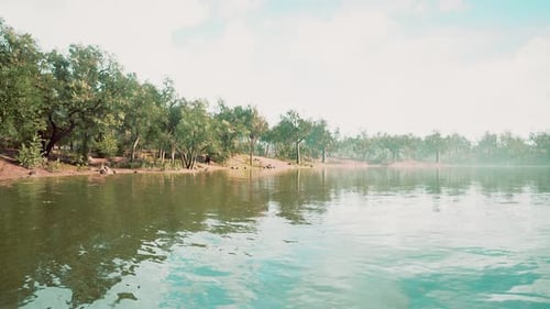 Paisaje en el parque de la ciudad con lago