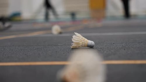 Ruhiges Shuttle in der Nähe von Painted Boundaries, stilles Badmintonspiel mit Shuttle in der Nähe von Painted