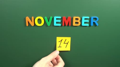 Hand sticking a sticker 14 November calendar day on school board. 14 date of November. Fourteenth