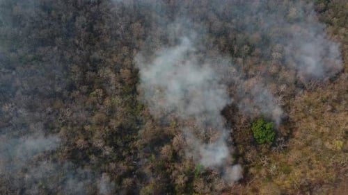 Aerial drone view of a wildfire burning through a forest area, fills the sky with dark smoke