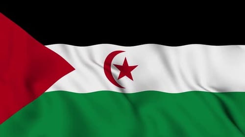 Sahrawi_Arab_Democratic_Republic Flag