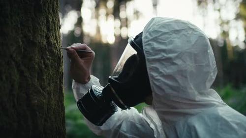 Biologist Analyzes Health of a Tree in the Forest