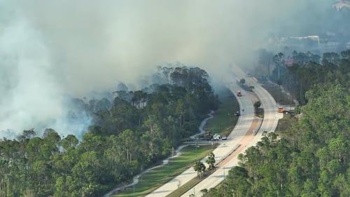 Fire Department Firetrucks Extinguishing Wildfire Burning Severely in Florida Jungle Woods Emergency