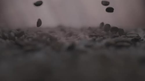Kaffeebohnen fallen sanft auf den Boden unter ihnen
