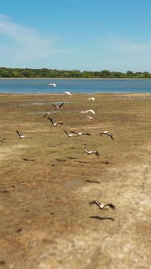 Tropical Landscape with a Lake Sri Lanka