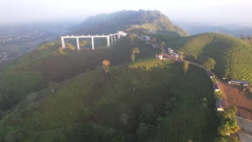 Kemuning Tea Field