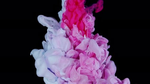 SlowMotion Ink Paints Evolve Into a Captivating RedBlue Abstraction Underwater on Black