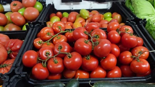 Cosecha de tomates. Muchos tomates. Tomates perfectos en el puesto del mercado de verduras