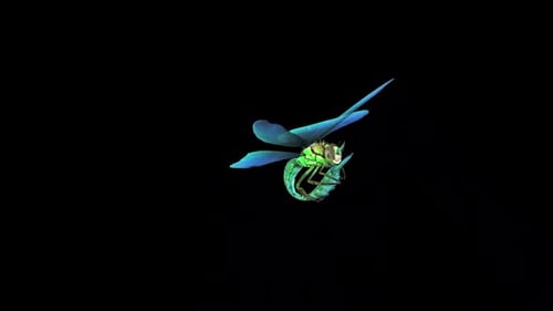 Blaue Libelle Idle 4