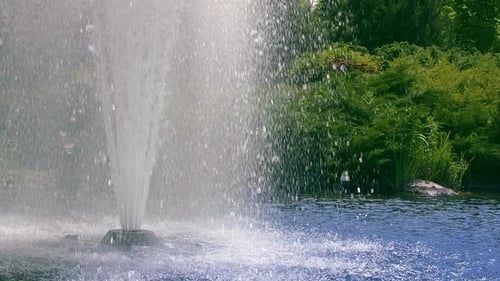 Park Fountain. Water Fountain and Green Bushes in Garden. Fountain Water Splashing