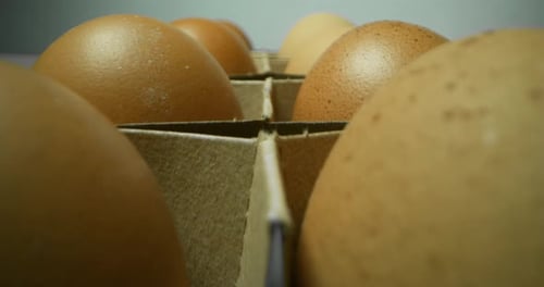 extreme macro of genuine eggs and freshly made from organic hen and fed with healthy and high-prot