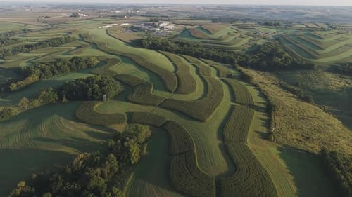 Wisconsin Contour Farm Field A Practice in Sustainable Farming