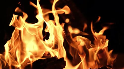 Close-up Shot of Fiery Flames Burning on Black
