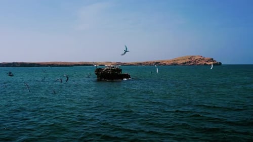 Moving Around a Rock in the Middle of Ocean With the Birds Flying Over it