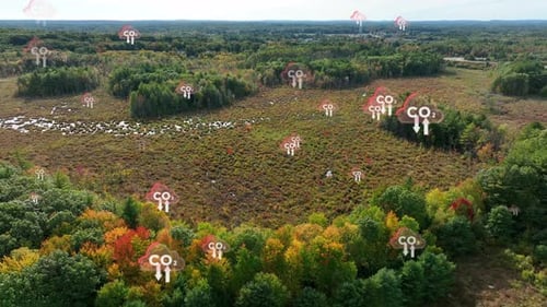 Abgeholzte Wälder mit animierten CO2-Symbolen, die in die Atmosphäre aufsteigen. Erhöhte CO2-Emissionen. Ae
