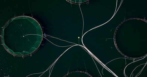 Abstract aerial riser view over pipes and marine pens on salmon ...