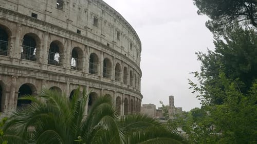 Colosseum in Rome, Italy with Greenery
