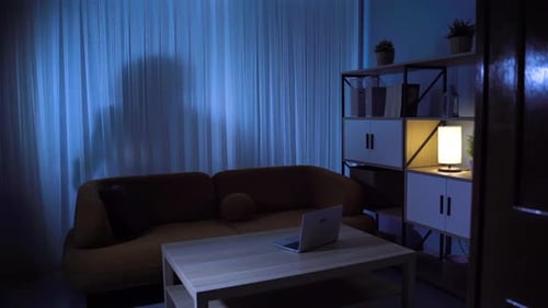 Burglar Steals a Laptop in Dark Home