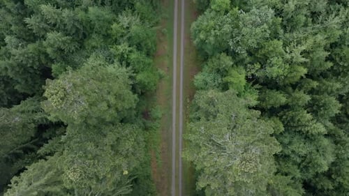 Luftaufnahme eines Pfades, der sich durch den Wald schlängelt