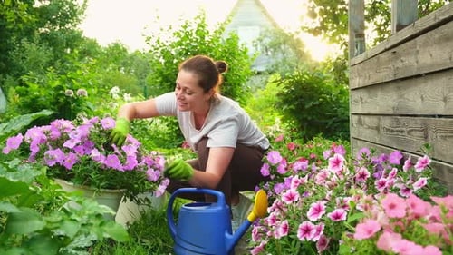 Gardening and Agriculture Concept Young Woman Farm Worker Gardening Flowers in Garden Gardener