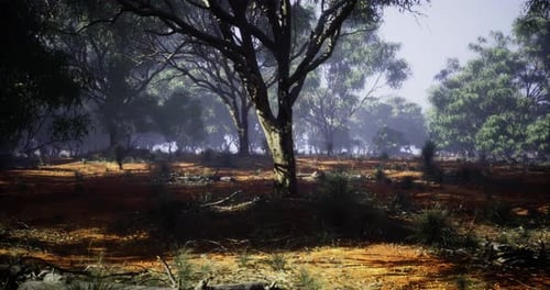 Lush Forest Landscape Showcasing Vibrant Trees and Earthy Textures at Dawn