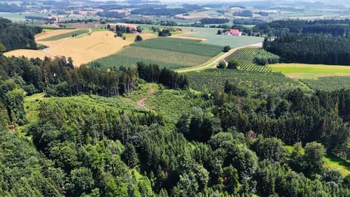 Vol par drone au-dessus des forêts de pins à feuilles persistantes à l'approche des terres agricoles.