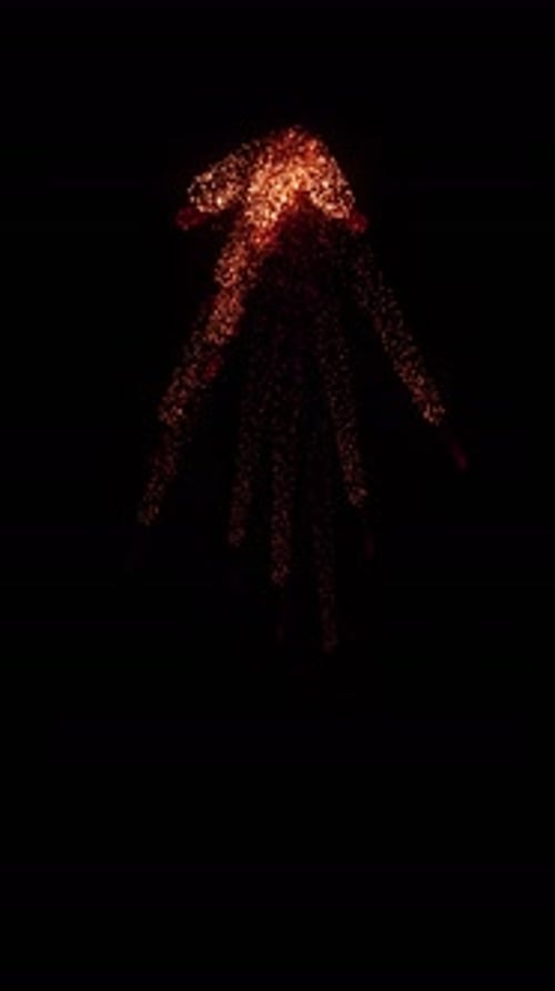 Aerial Sparks Explosion (30)