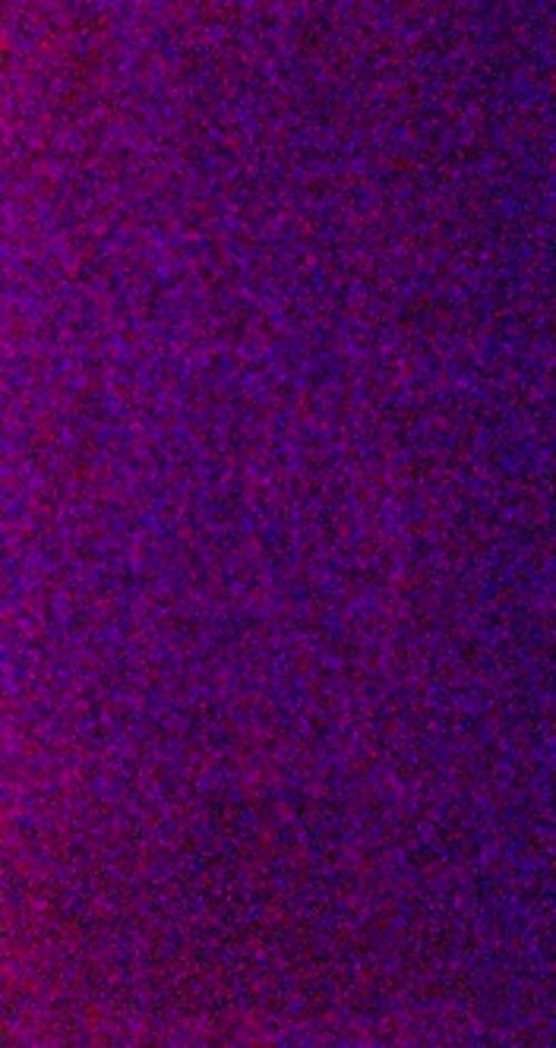 Digital Noise A Close Up