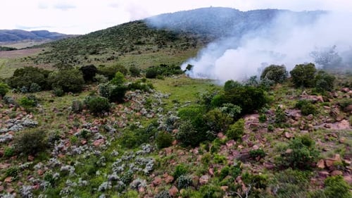 Wind push against head of wildfire spreading along game reserve terrain