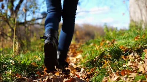 Close Up to Female Feet in Boots Going Along Trail on Fallen Dry Leaves Legs of Young Woman Stepping