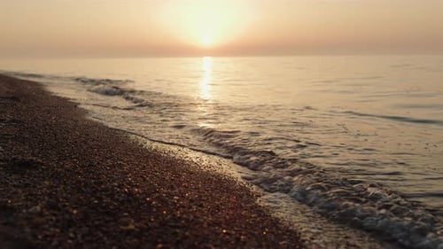 Picturesque sunset illuminates sandy beach with soft golden sunlight on summer evening