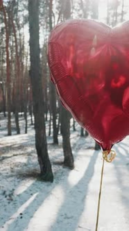 Red Foil Heart Balloon Floating In Sunny Winter Forest Landscape