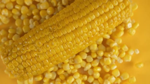 Ripe, juicy yellow corn