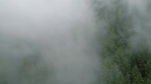 Aerial View of Beautiful Mountain Landscape Fog Rises Over the Mountain Slopes