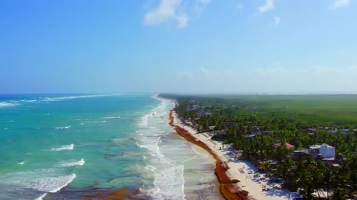 Vista de drone da bela praia de Tulum, México, com água turquesa e palmeiras verdes exuberantes.