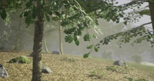 Lush Green Foliage Swaying Gently in a Serene Forest Setting at Dawn