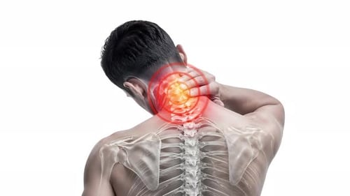 3D Animated Human Shoulder Anatomy Neck Pain Highlight